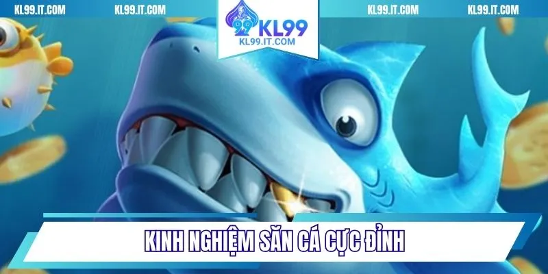 Kinh nghiệm săn cá cực đỉnh