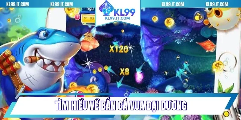 Tìm hiểu về bắn cá vua đại dương